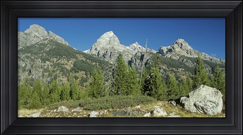 Framed Grand Teton 13 Print