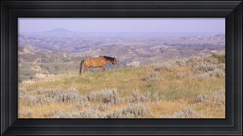 Framed Wild Horses 14 Print