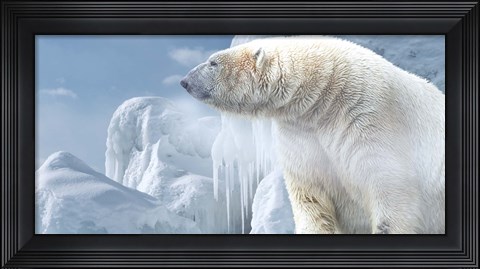 Framed Arctic Frost Bear Print