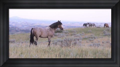 Framed Wild Horses 23 Print