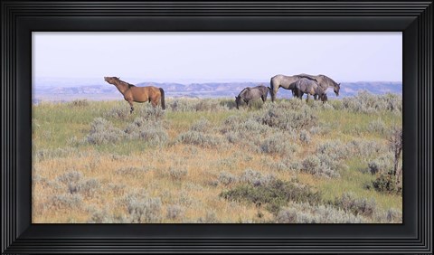 Framed Wild Horses 20 Print