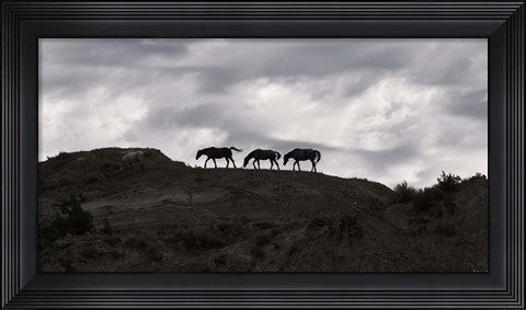 Framed Horse Silhouettes Under Clouded Sky Print
