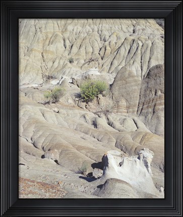Framed Theodore Roosevelt National Park 29 Print