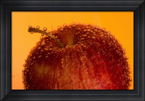 Framed Red Fruit And Water Droplets Print
