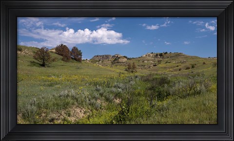 Framed Yellow Wildflowers And Mountains Print