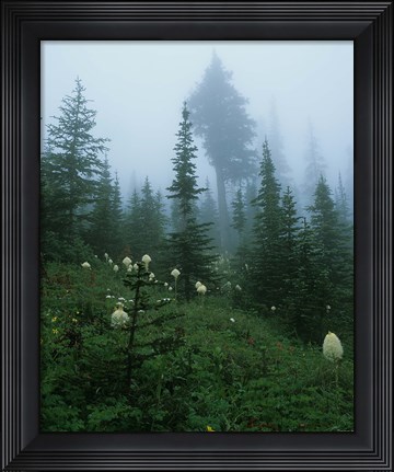 Framed Misty Green Trees And Field II Print