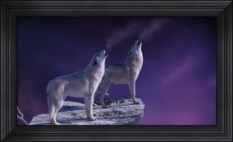 Framed Stargazers Print