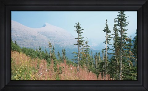 Framed Glacier National Park 17 Print