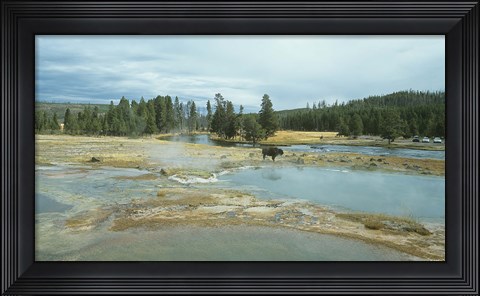 Framed Yellowstone 3 Print
