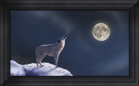 Framed Moon Dog Print