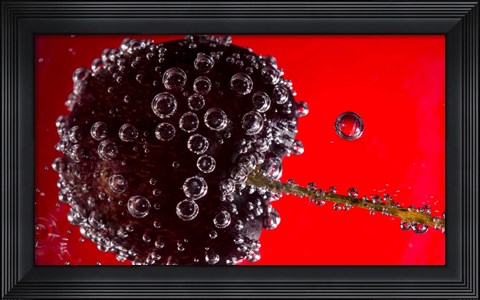 Framed Cherry Covered In Water Drops V Print