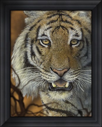 Framed Night Vision Print
