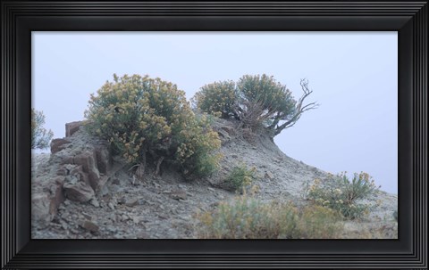 Framed Theodore Roosevelt National Park 34 Print