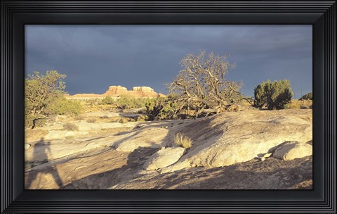 Framed Canyonland 14 Print