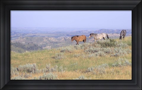 Framed Wild Horses 24 Print