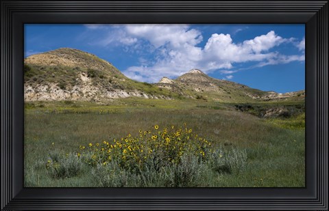 Framed Wildflowers And Mountiains With Clouds Print