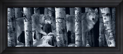 Framed Silver Tone Moon Shadows 2 Print