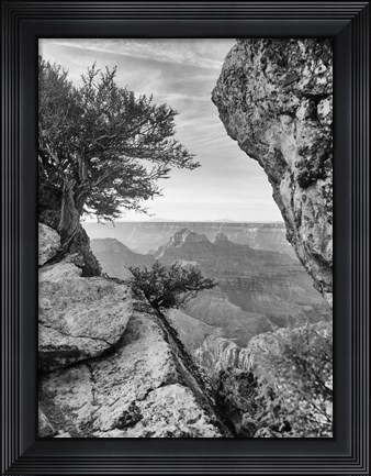 Framed Grand Canyon 7 Print