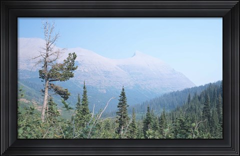 Framed Glacier National Park 19 Print