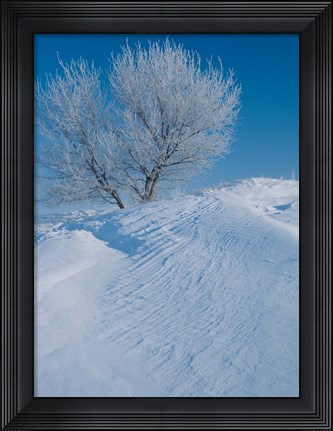 Framed Snow Terrain Tree V Print