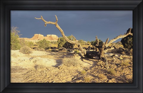 Framed Canyonland 13 Print