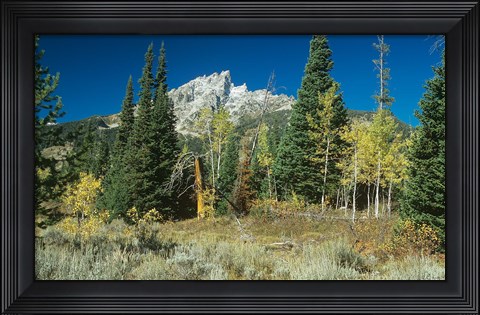 Framed Grand Teton 11 Print