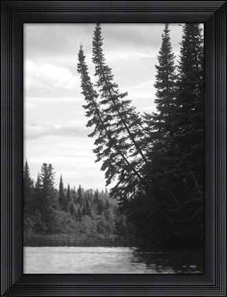 Framed Ash River 5 Print