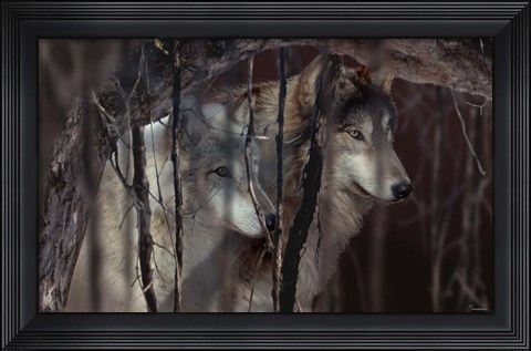 Framed Shadowers Print