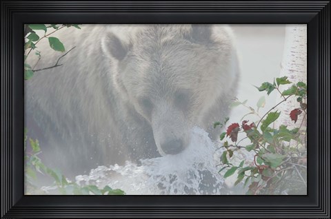 Framed Down Stream Bear Print