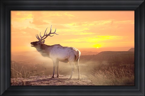 Framed Elk Sunrise In The Badlands Print