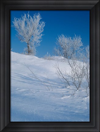 Framed Snow Terrain I Print