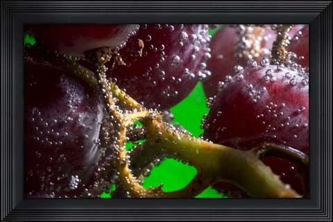 Framed Grapes Covered With Water Drops Closeup Print