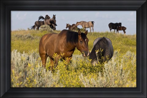 Framed Horses Grazing In Yellow Field I Print
