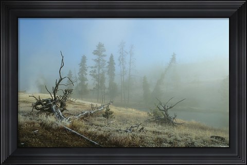 Framed Yellowstone 4 Print