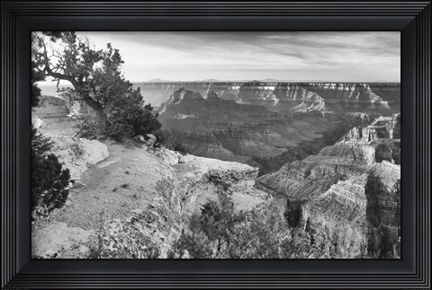 Framed Grand Canyon 1 Print