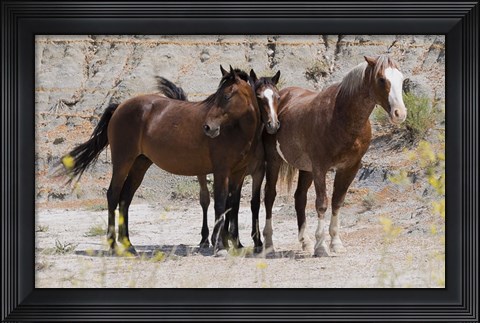 Framed Three Brown Horses Print