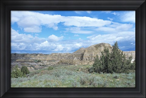 Framed Theodore Roosevelt National Park 4 Print