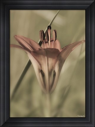 Framed Red Flower And Grass Blade Vertical Print
