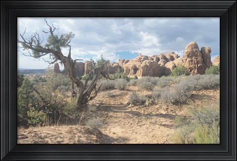 Framed Arches 24 Print