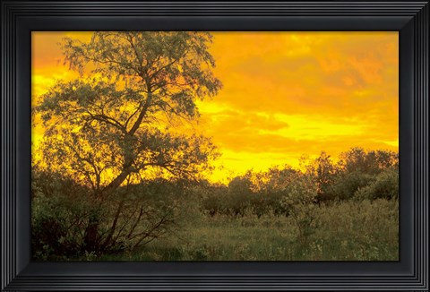 Framed Sunrise Over Green Field Print