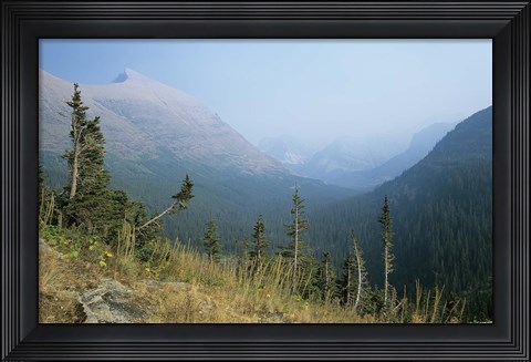 Framed Blue Mountains And Plush Evergreens Print