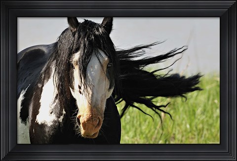 Framed Wildhorses 1 Print