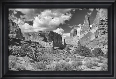 Framed Valley Of Rock And Shrubs Print