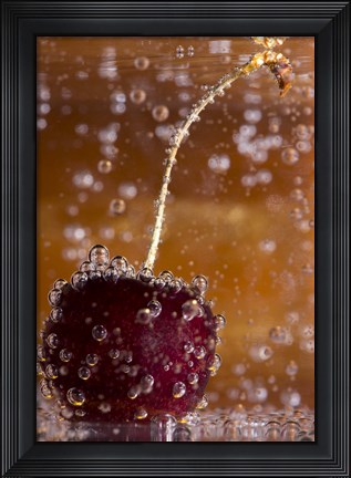 Framed Cherry Underwater Covered In Water Drops I Print