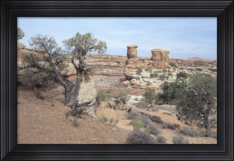 Framed Canyonland 8 Print