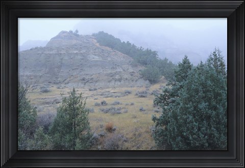 Framed Theodore Roosevelt National Park 11 Print