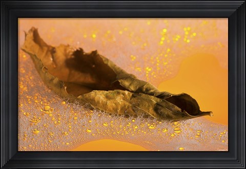 Framed Yellow Fall Leaf Floating In Bubbles II Print