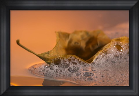 Framed Yellow Fall Leaf Floating In Bubbles I Print