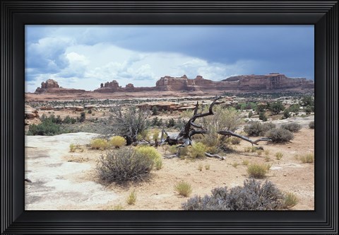 Framed Canyonland 7 Print