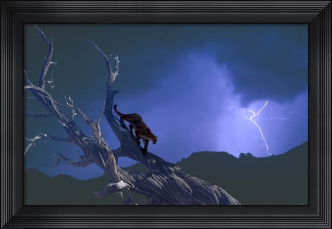 Framed Dark Skies Of The Badlands Print